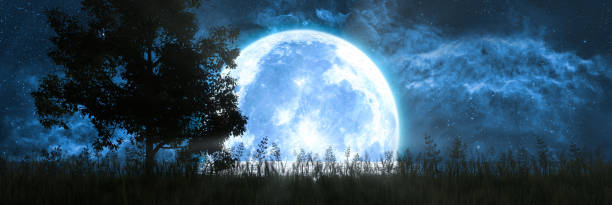 silhuett av ett träd mot bakgrund av månen återspeglas i havet - moon forest bildbanksfoton och bilder