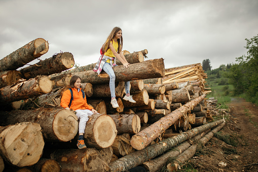 Little boy and teenage girl sitting and riding on stack of pine tree logs in non urban area.