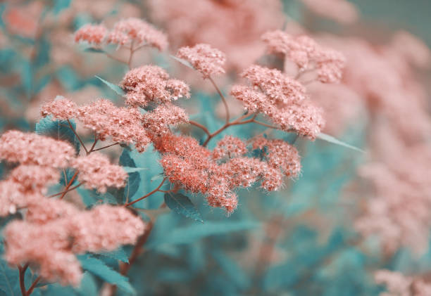 istock Abstract leaves with flowers nature texture background. Creative layout for design 1257033571
