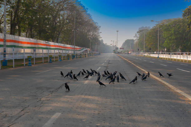 istock Red Road, Kolkata, India 1257039682