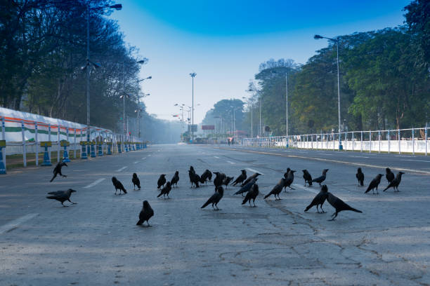Red Road, Kolkata, India