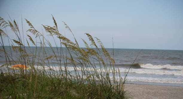 istock Coastal Views from the Beach 1257050677