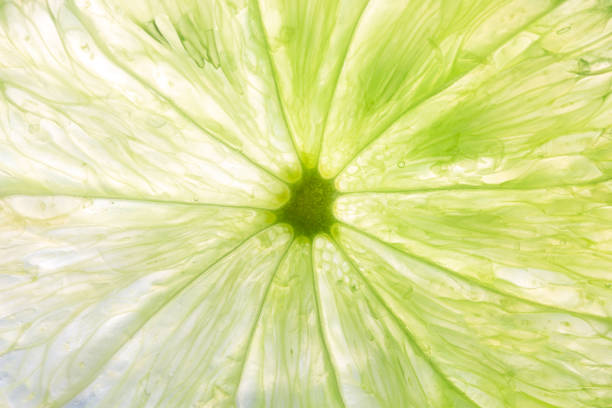 istock macro shot of ripe lemon 1257052414