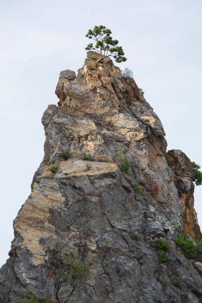 istock Big rock isolated on white background. This has clipping path. 1257052551