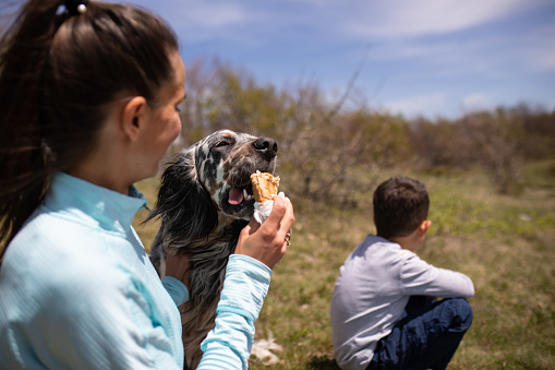 A young woman hiker is feeding her dog a sandwich while taking a break from hiking on a hill