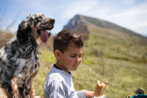 A boy is chewing on a sandwich on a meadow while his dog is sitting next to him panting and a mountain can be seen in he background