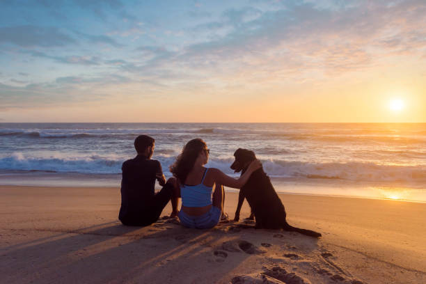 istock cute young couple contemplating the sunset 1257055112