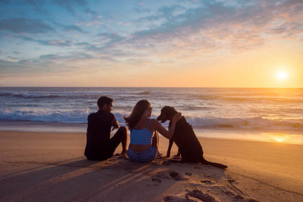 istock cute young couple contemplating the sunset 1257055309
