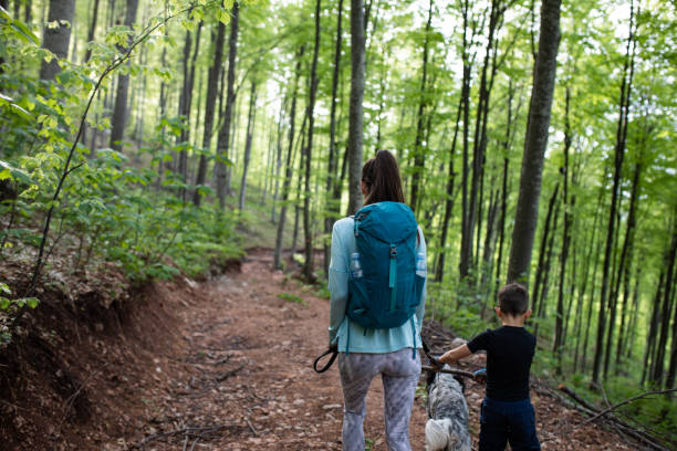 istock Mom and son hiking with their dog 1257055369