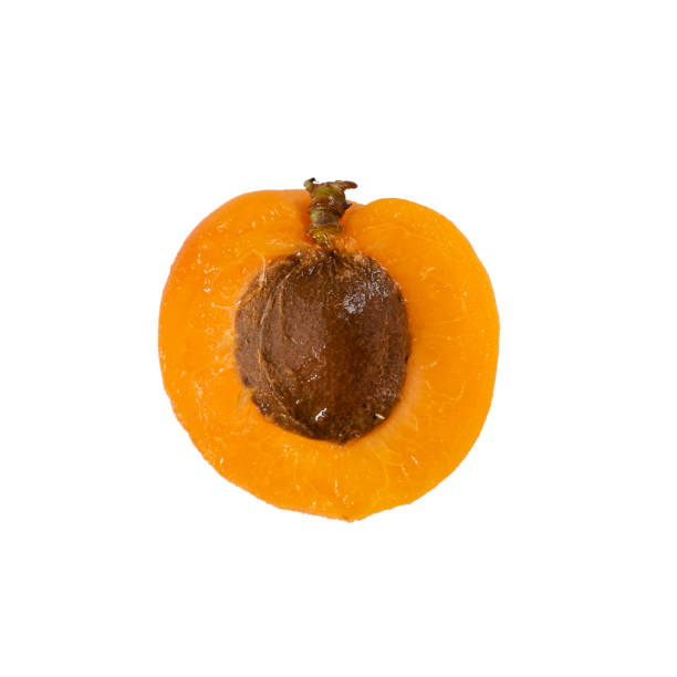 крупным планом один оранжевый спелый вырезать абрикос, макро половины свежих фруктов с коричневой ямы изолированы на белом фоне. концепция - apricot portion antioxidant fruit стоковые фото и изображения