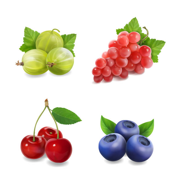 illustrazioni stock, clip art, cartoni animati e icone di tendenza di uva di bacche dolci, ciliegia, uva spina al mirtillo - red grape