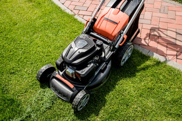 istock Lawn mower on green grass. Summer garden 1257059584