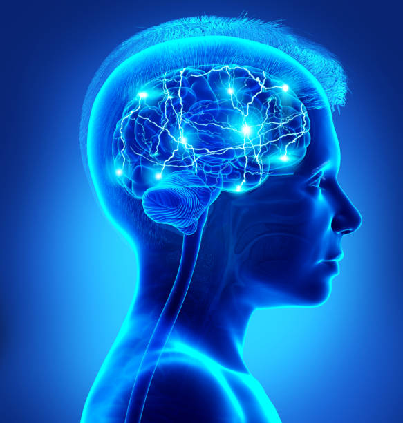 istock 3d rendered, medically accurate illustration of a young boy active brain 1257059938
