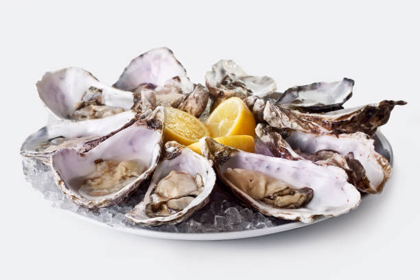 plate with fresh mussels and lemon on a gray background