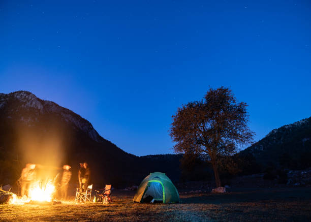 istock Friends Camping Under The Stars In Nature 1257061356