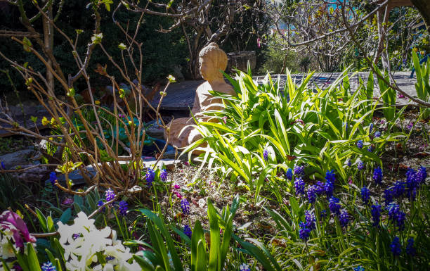 istock Clay Buddha in a beautiful garden 1257061628
