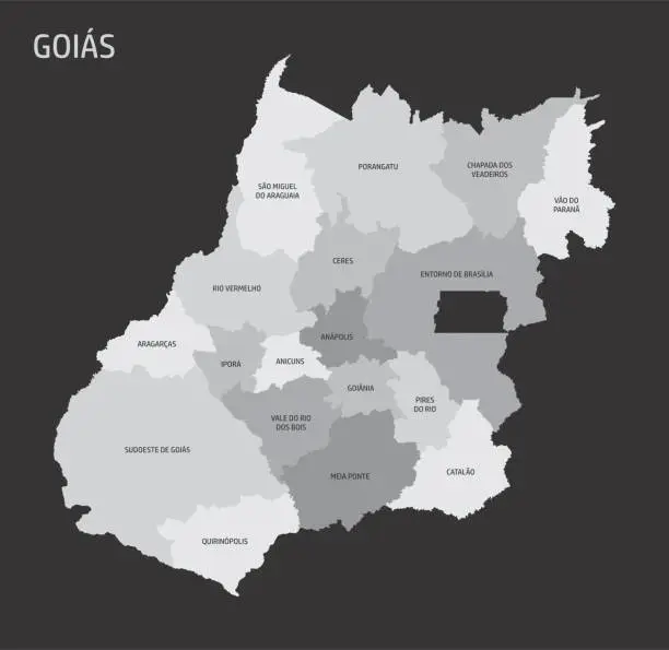 Vector illustration of Goias State regions map