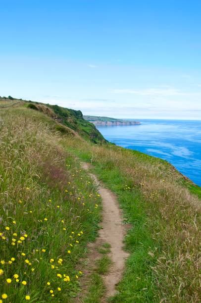 istock Ravenscar, North Yorkshire 1257065809