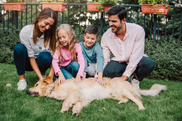 istock Having fun in the garden with our dog. 1257066323
