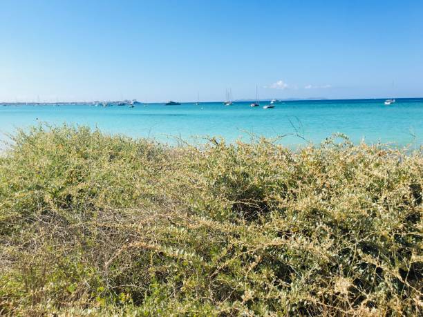 istock Turquoise water and sailing boats 1257069641