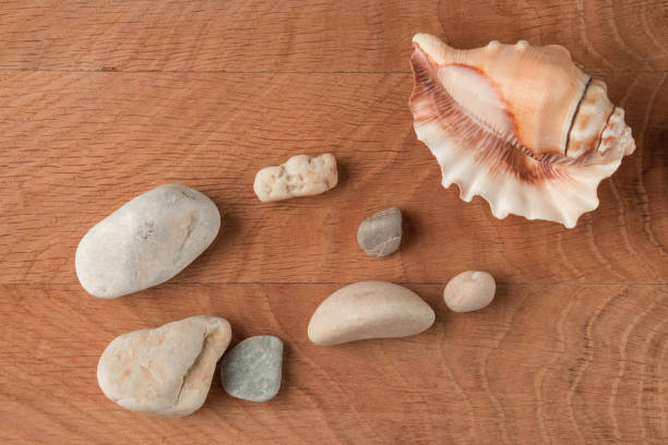 istock Smooth stones of various sizes and shells are scattered on the wood board 1257069883