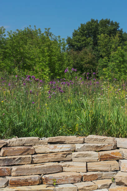 istock A wall of untreated natural stone. 1257072429