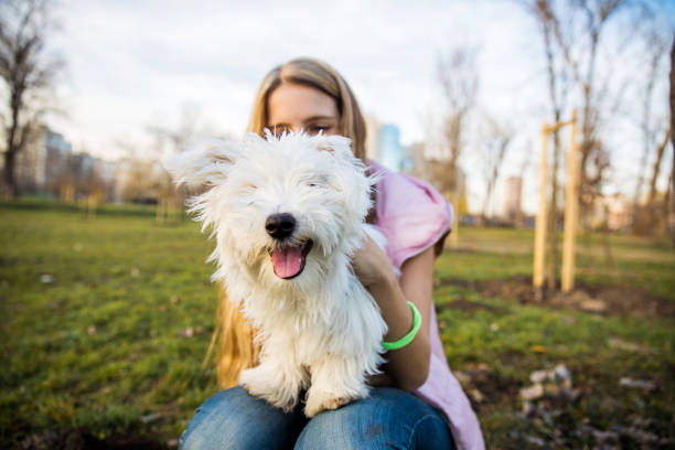 Portrait of a adolescent girl at the park with her best friend, Maltese puppy