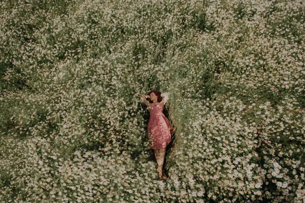 Photo of A girl in a red dress lies in a field of daisies.
