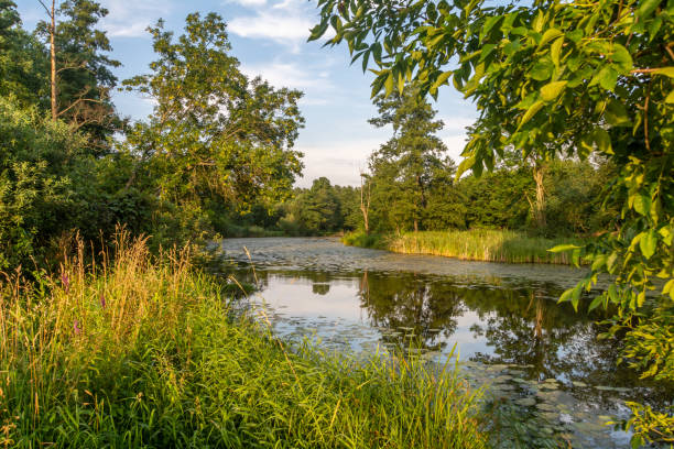 istock Old Widawka river bed, Poland. 1257076031