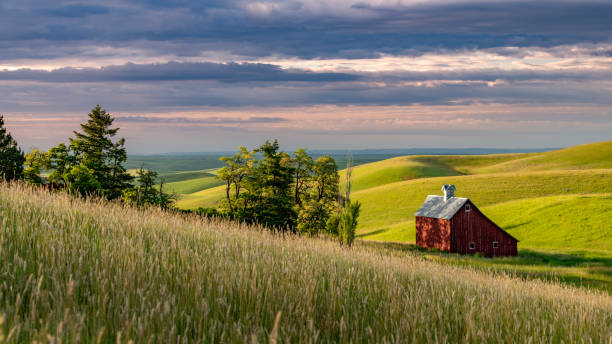 istock Farm crops lead to a beautiful red barn 1257076129