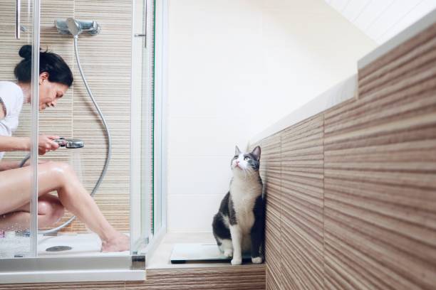 Woman with a cat in the bathroom stock photo