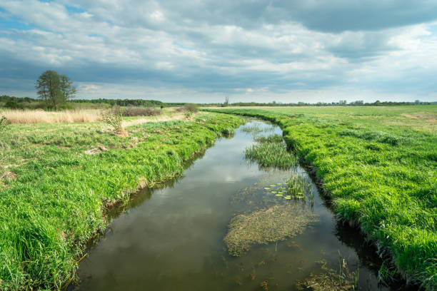 istock The small river Uherka flowing through green meadows in eastern Poland 1257082641