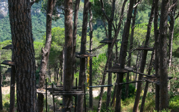 07/19/2020, Beit Mery-Lebanon, climbing garden in a pine forest in the Lebanon mountains