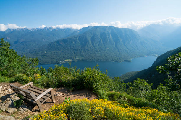 istock Lake Bohinj view point bench in mountains 1257088469