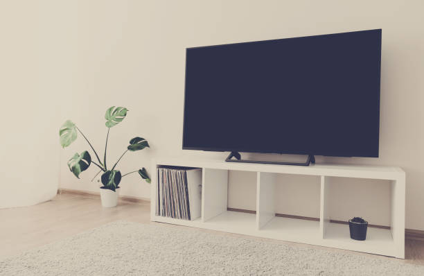 istock Cozy home interior with TV and monstera palm 1257094098