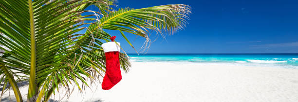 istock Christmas stocking on palm tree at tropical beach 1257094191
