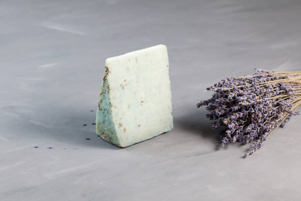istock Cheese with lavender on a gray background. Selective focus, copy space 1257099859