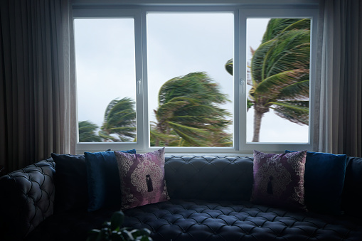 ventana y palmeras ondulantes en tormenta tropical ventosa photo