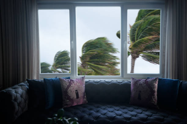 ventana y palmeras ondulantes en tormenta tropical ventosa - living dangerous fotografías e imágenes de stock