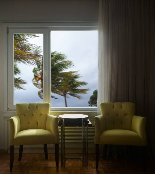 istock window and waving palm trees in windy tropical storm 1257104984