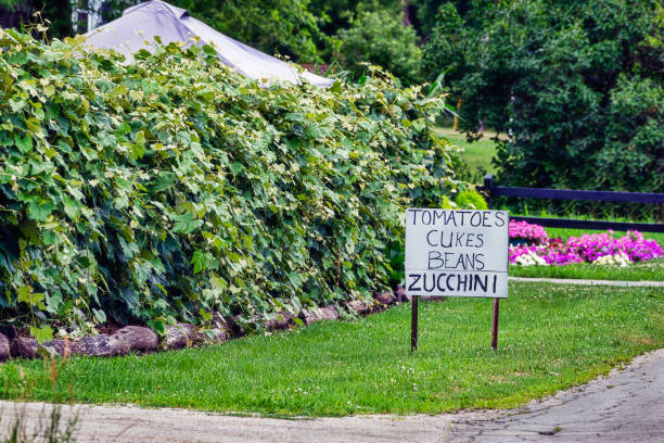 istock Farm Produce Sign at Roadside 1257106740