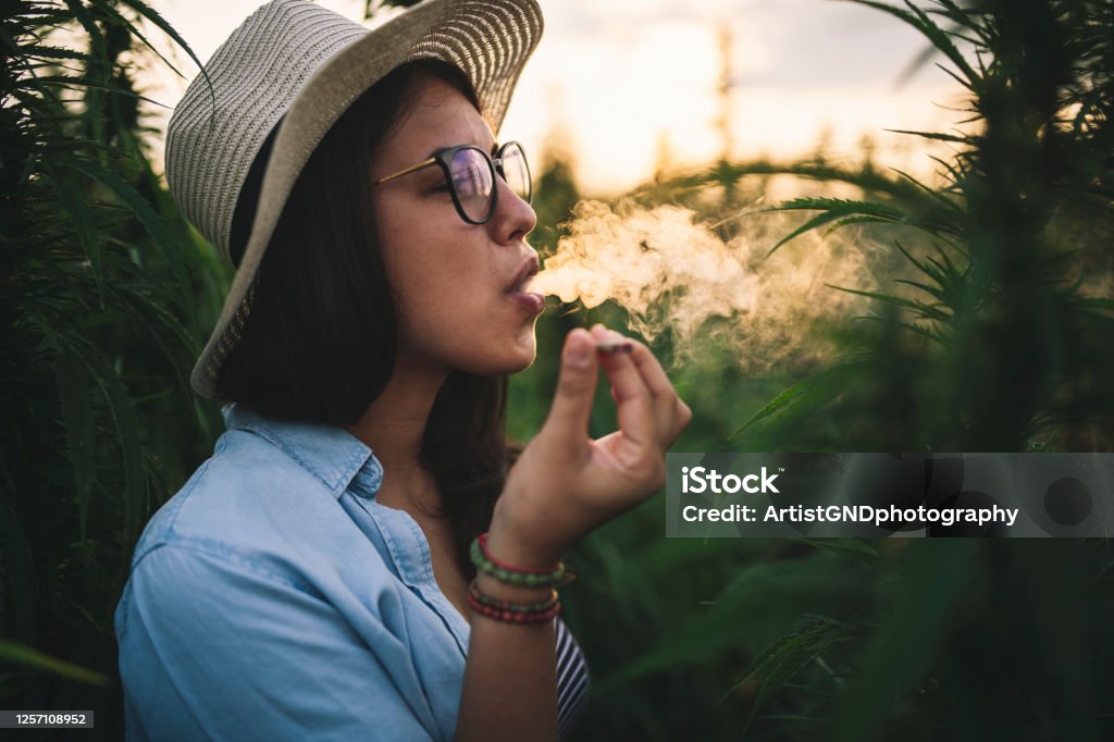Beautiful Woman Smoking Marijuana In Plantation. Side view of beautiful woman with hat smoking joint in marijuana plantation at sunset. Cannabis Plant Stock Photo