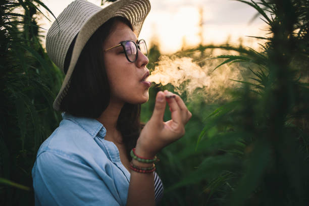 38,288 Smoking Weed Stock Photos, Pictures & Royalty-Free Images - iStock | Woman smoking weed, Smoking weed while working, Man smoking weed 38,288 Smoking Weed Stock Photos, Pictures & Royalty-Free Images - iStock | Woman smoking weed, Smoking weed while working, Man smoking weed