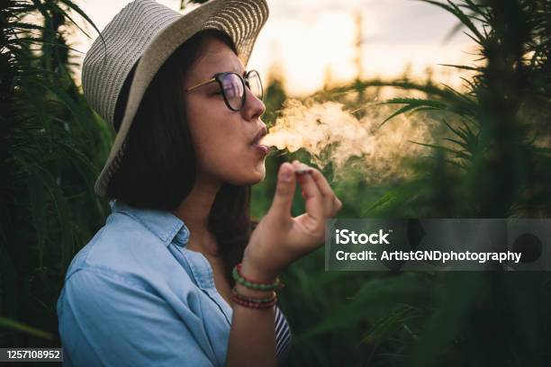 Beautiful Woman Smoking Marijuana In Plantation Stock Photo - Download Image Now - Cannabis Plant, Smoking - Activity, Marijuana - Herbal Cannabis