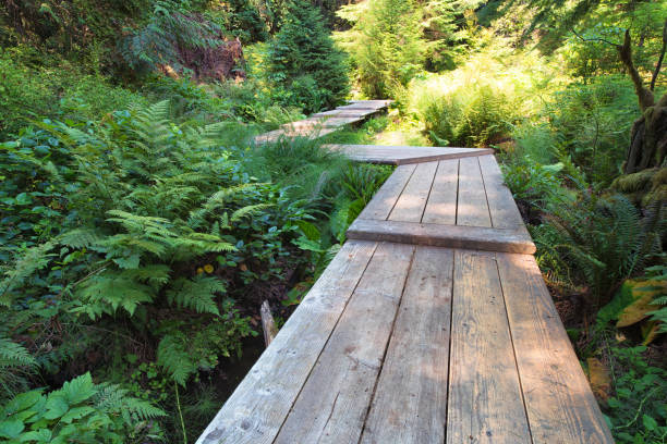 Wooden Boardwalk Bainbridge Island, Washington bainbridge island stock pictures, royalty-free photos & images