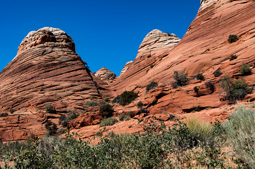 Sandstone landscape while hiking through the Wave in Utah and Arizona