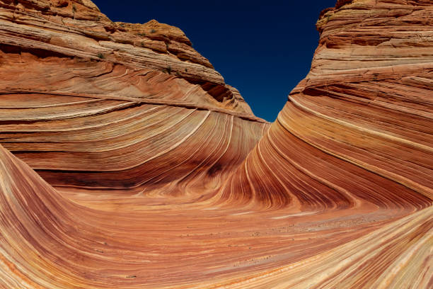 istock Hiking the Wave in Utah and Arizona 1257111717