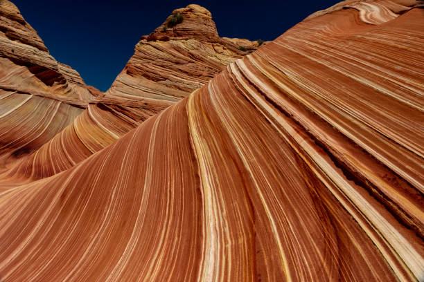 istock Hiking the Wave in Utah and Arizona 1257111718