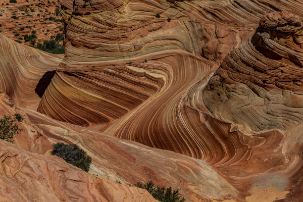 istock Hiking the Wave in Utah and Arizona 1257111726