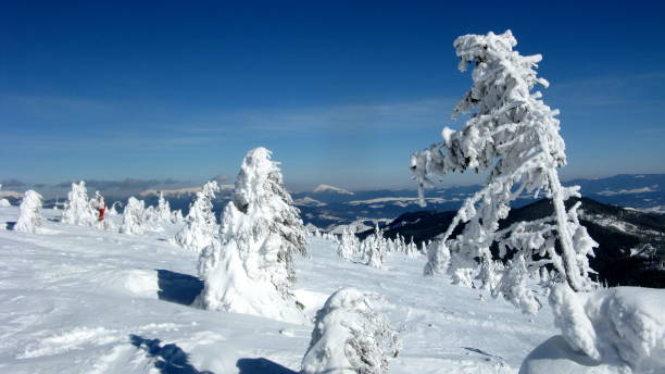 istock Snow-covered trees on the top of mountain 1257111757
